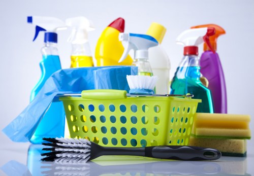 Professional one off cleaning service in a bright living room