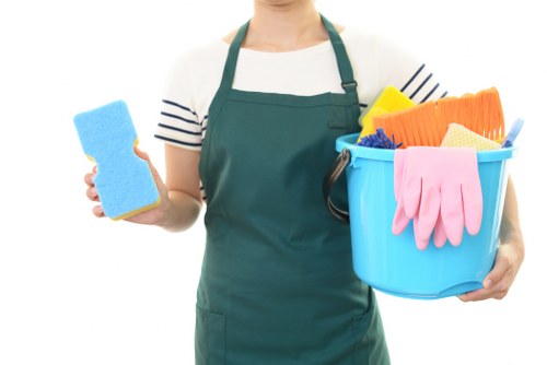 Kingston cleaners delivering thorough cleaning for modern properties