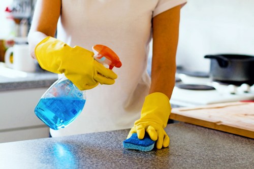 Move in cleaning supplies and checklist in a modern kitchen
