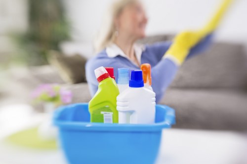 Daily house cleaning routine in a bright bedroom with made bed