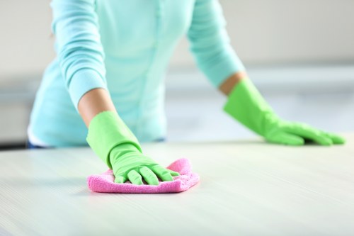 Vacuuming a sofa to remove dust and crumbs