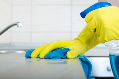 Professional carpet cleaning service in progress