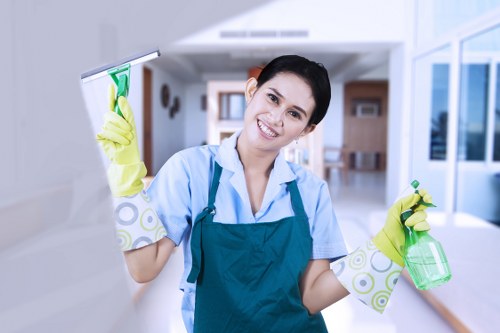 Household regular cleaning in a bright living space
